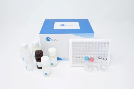 FineTest® / Wuhan Fine Biotech Co., Ltd.